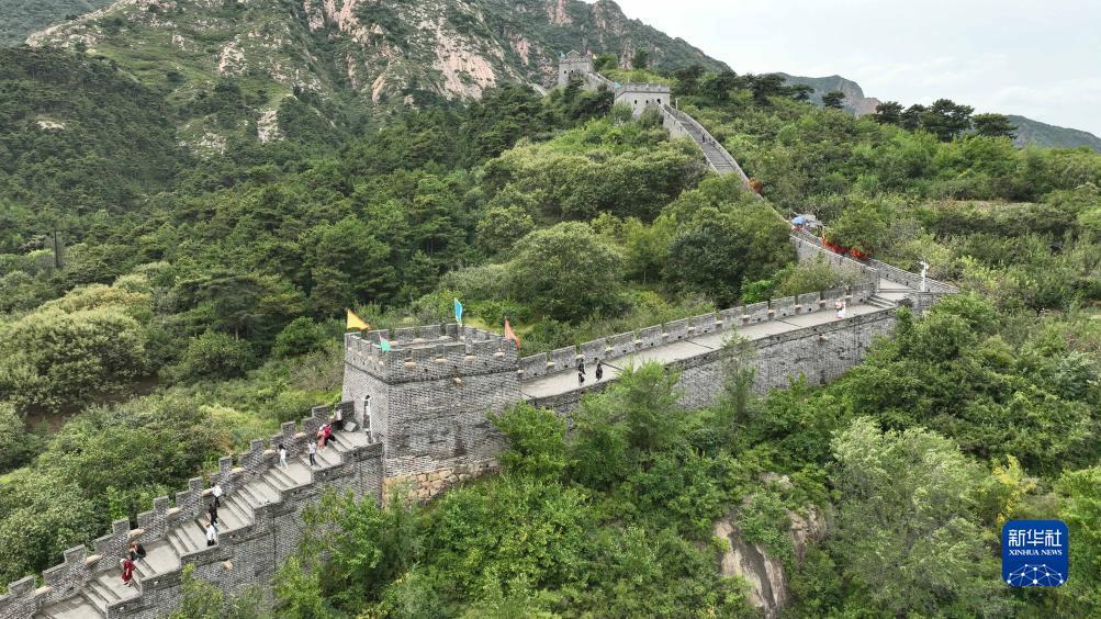 金博集团2019